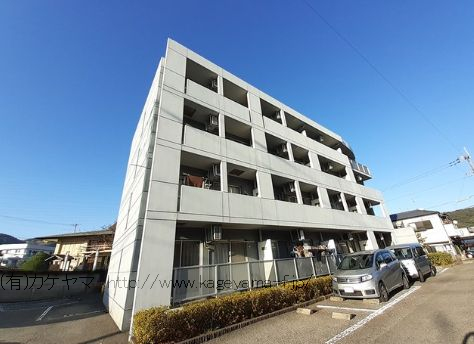 4071画像