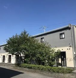 4399画像